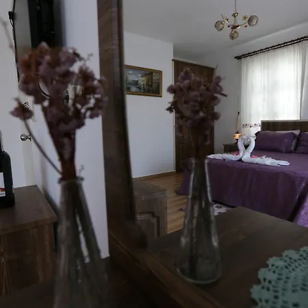 Guest house Mor Salkim Konagi 2*