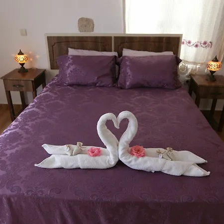 Guest house Mor Salkim Konagi 2*
