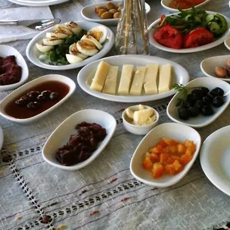 Penzion Mor Salkim Konagi 2*