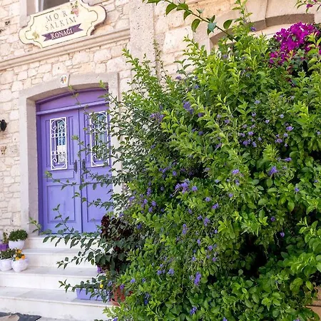 Mor Salkim Konagi Penzion