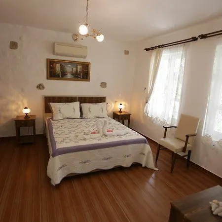 Mor Salkim Konagi Penzion